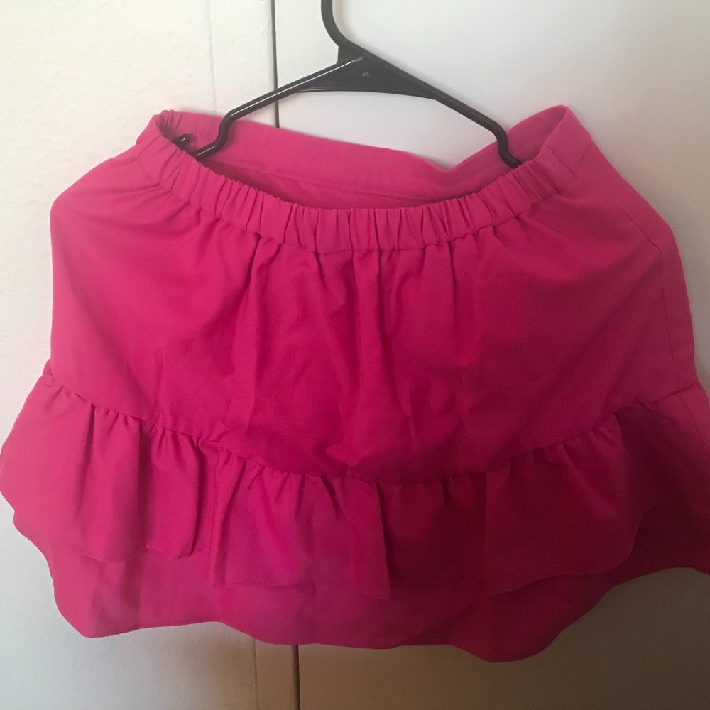 J. CREW Skirt